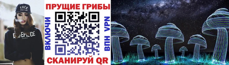 Псилоцибиновые грибы GOLDEN TEACHER  Купить  Невель 